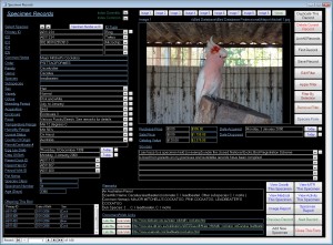 BirdProScreen2