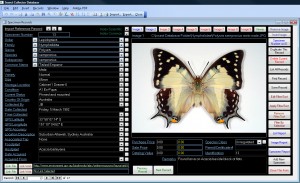 InsectScreen2