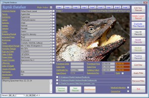 ReptileScreen1