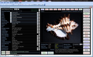 ShellScreen1